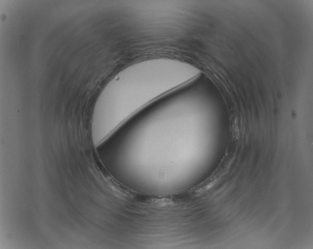 X0000076370424200610060905