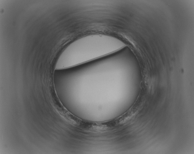 X0000076370455200610060905