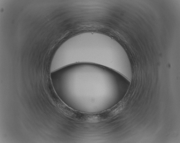 X0000076370456200610060905