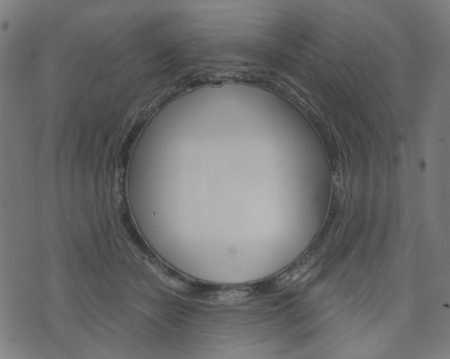 X0000076370462200610060905