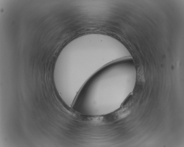 X0000076370474200610060905