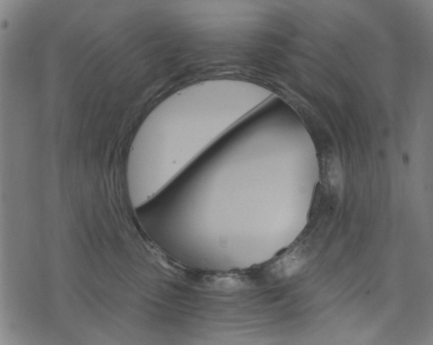 X0000076370475200610060905