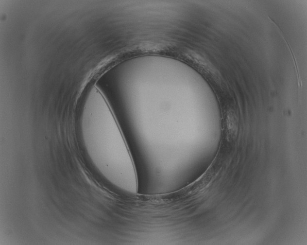 X0000076370492200610060904