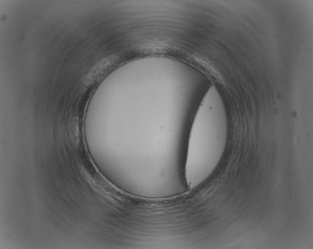 X0000076370494200610060904