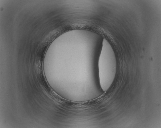 X0000076370498200610060904