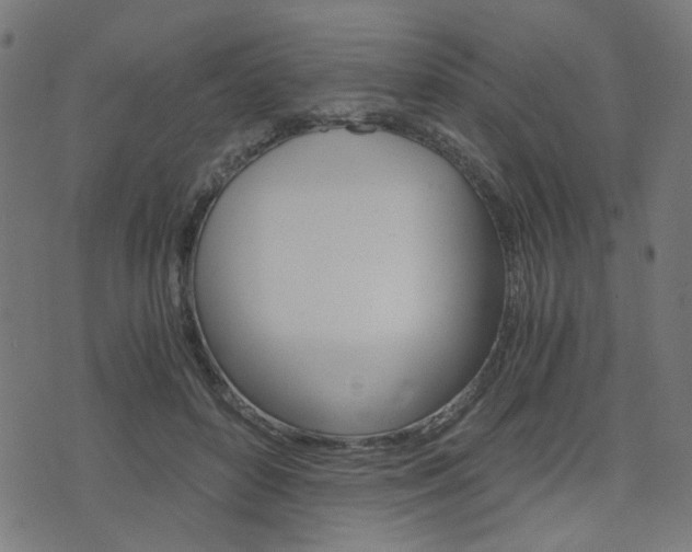 X0000076370504200610060904