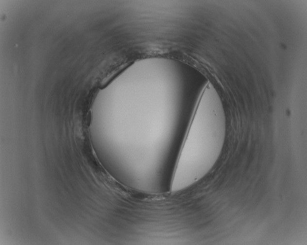 X0000076370512200610060904