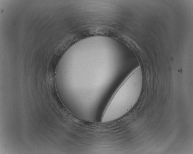 X0000076370513200610060904