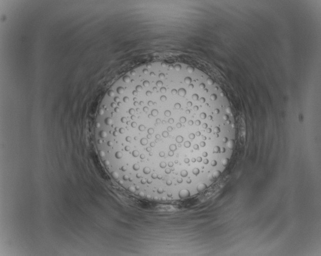 X0000076370519200610060904