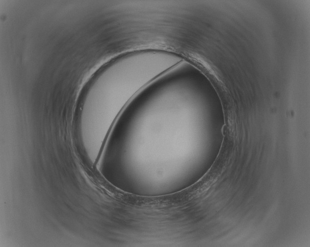 X0000076370532200610060903