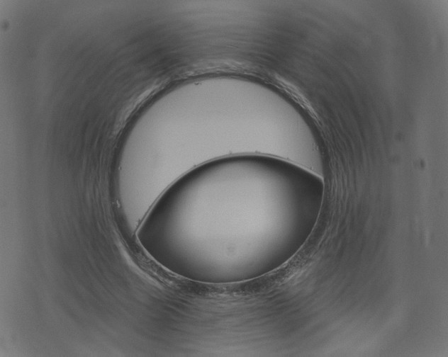 X0000076370538200610060903