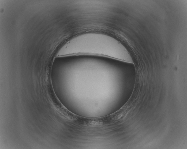 X0000076370546200610060903