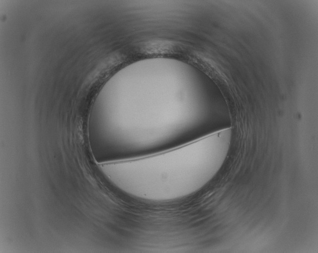 X0000076370547200610060903