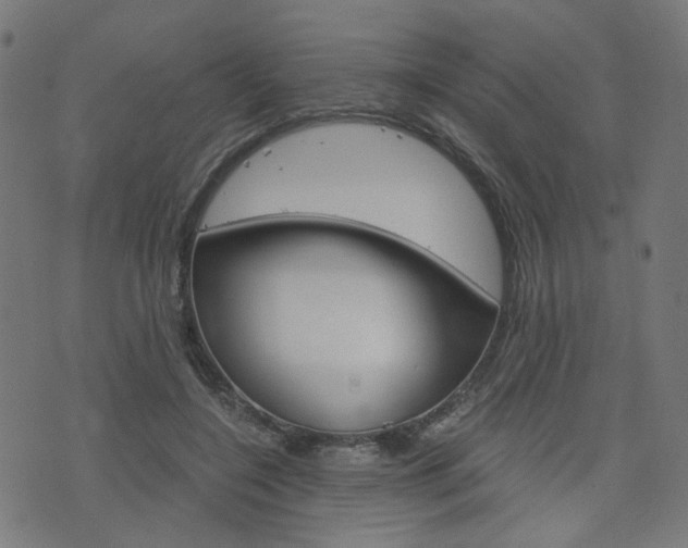 X0000076370548200610060903