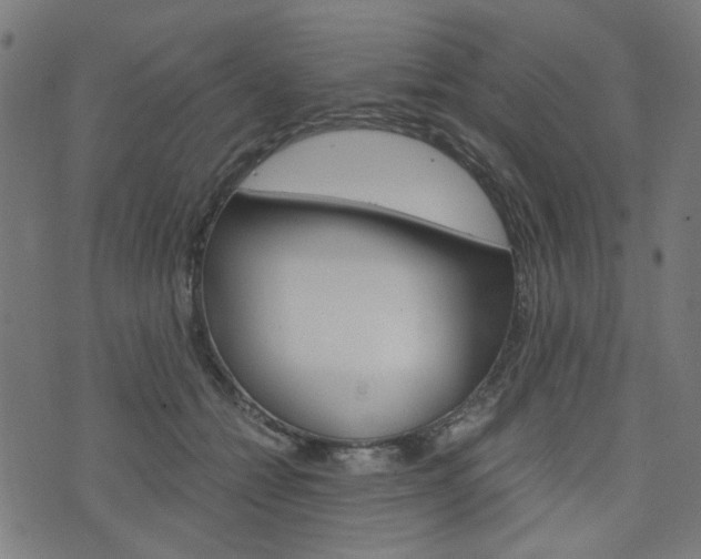 X0000076370558200610060903