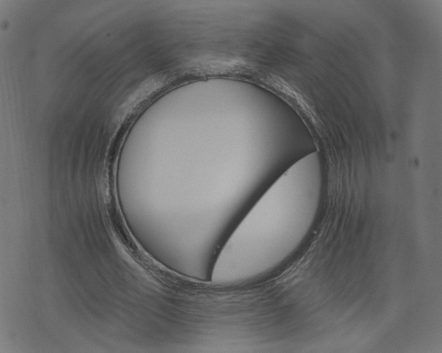 X0000076370582200610060903