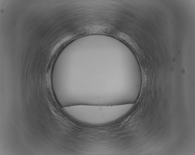 X0000076370583200610060903