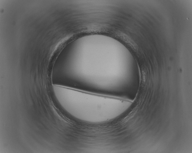 X0000076370588200610060903