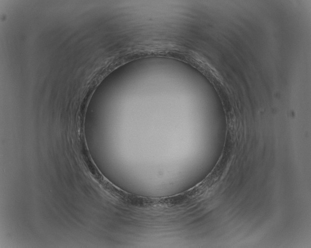 X0000076370593200610060903