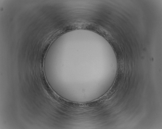 X0000076370594200610060903