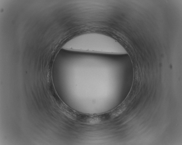 X0000076370604200610060902
