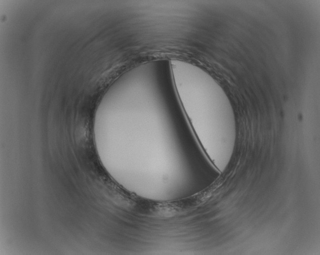 X0000076370608200610060902