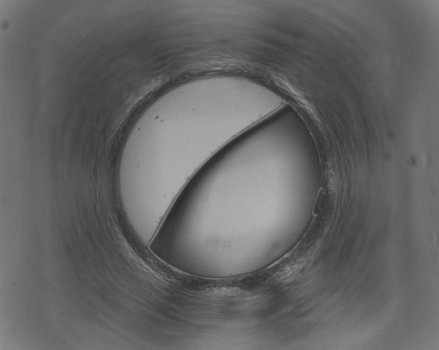 X0000076370637200610060902