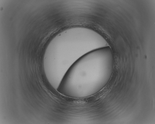 X0000076370644200610060902
