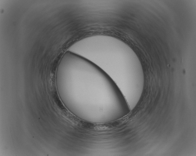 X0000076370650200610060902
