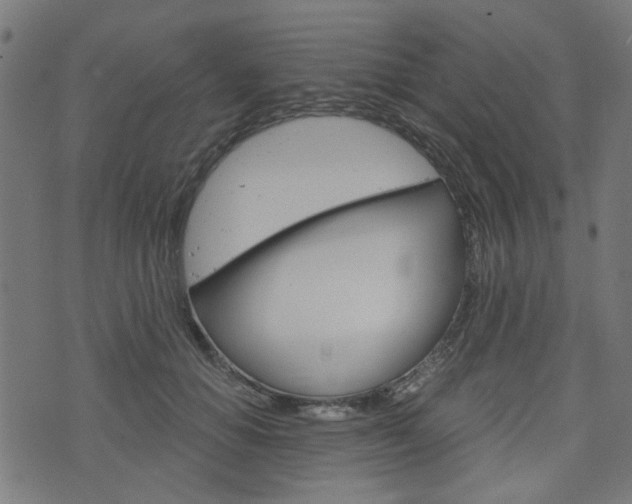 X0000076370654200610060902
