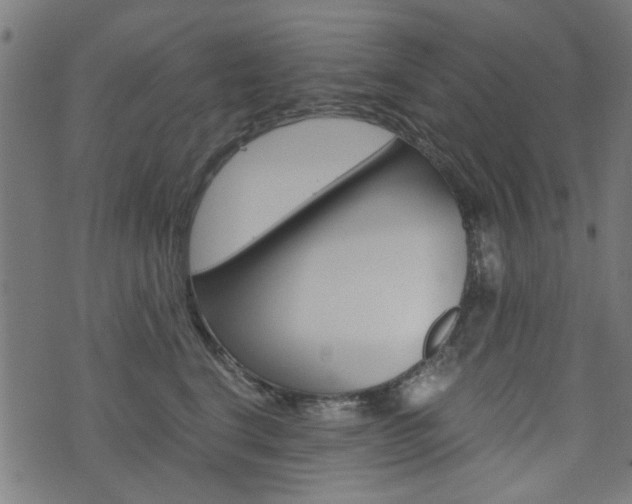 X0000076370664200610060902