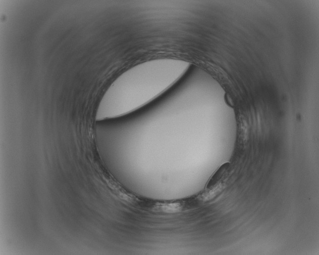 X0000076370665200610060902
