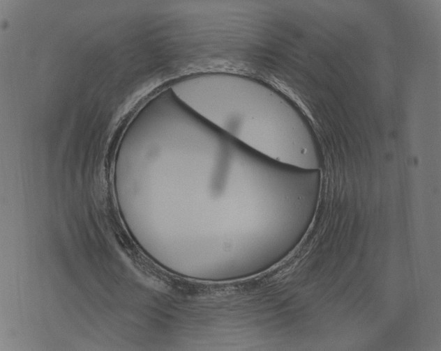 X0000076370674200610060901