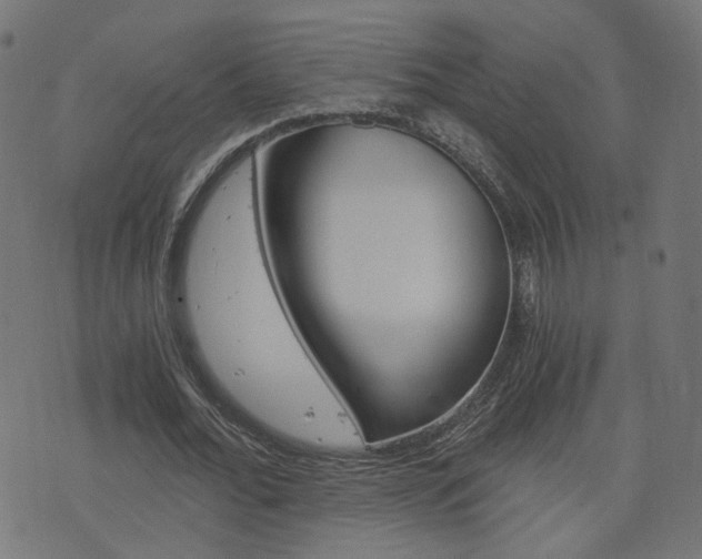 X0000076370676200610060901
