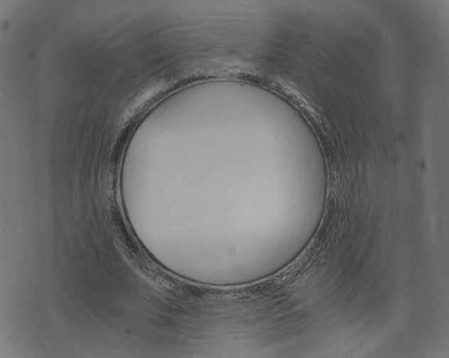 X0000076370679200610060901