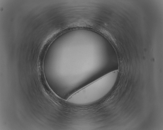 X0000076370680200610060901