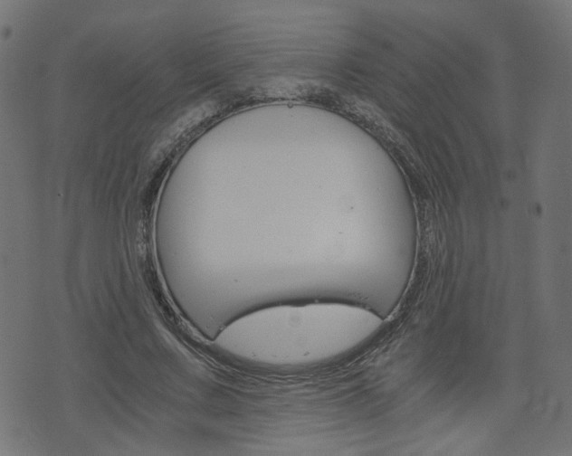 X0000076370683200610060901