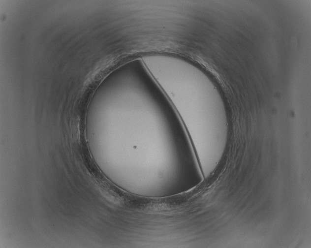 X0000076370685200610060901
