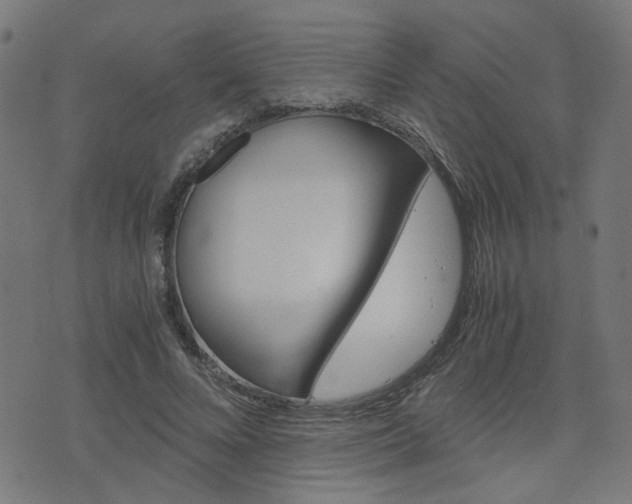 X0000076370688200610060901