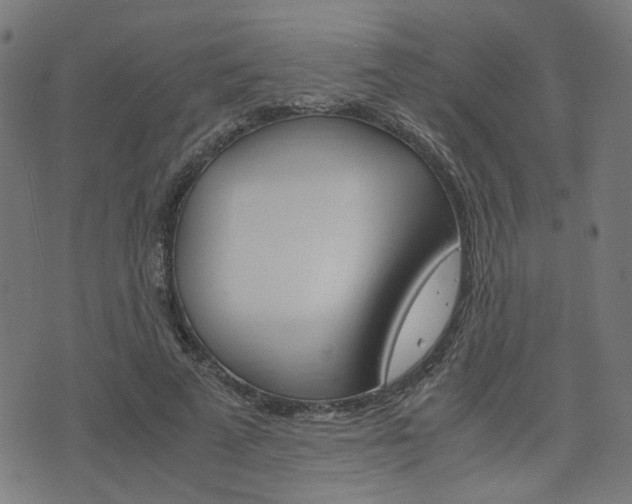 X0000076370689200610060901