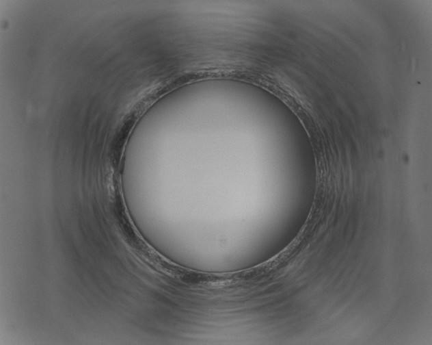 X0000076370692200610060901