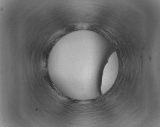 X0000076370714200610060901