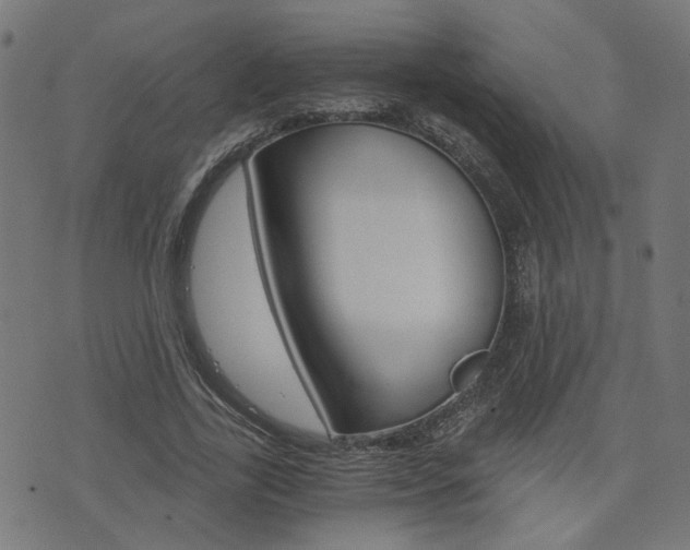 X0000076370731200610060900