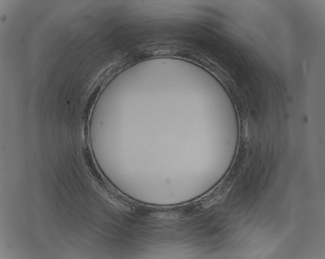 X0000076370733200610060900