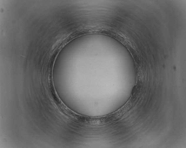 X0000076370740200610060900