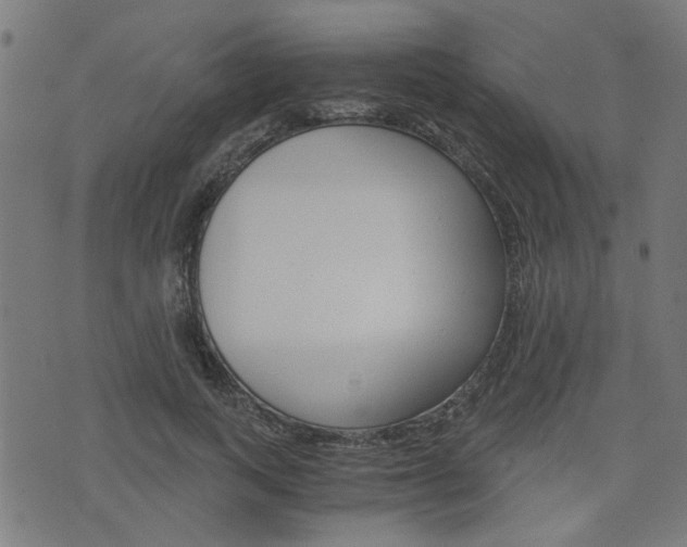X0000076370743200610060900