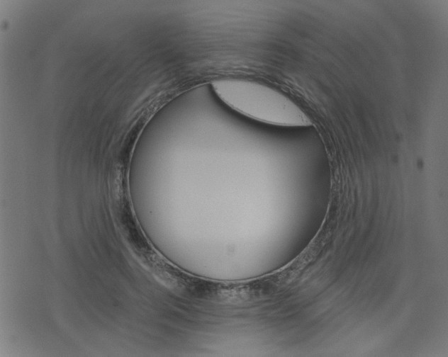 X0000076370744200610060900