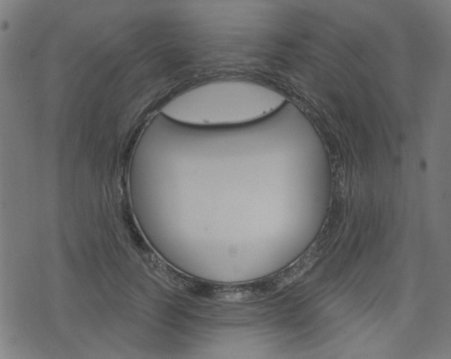 X0000076370746200610060900