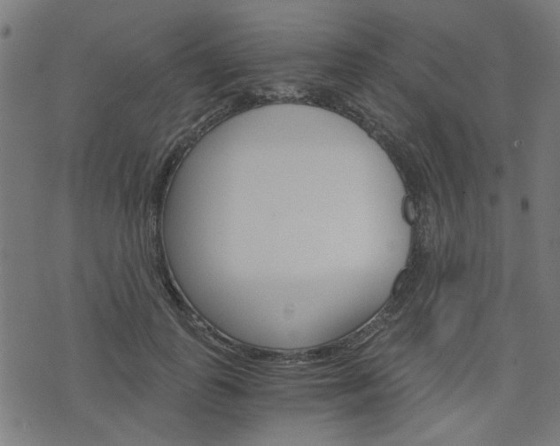 X0000076370747200610060900