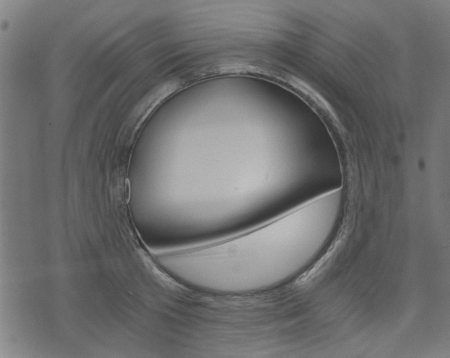 X0000076370801200610060859